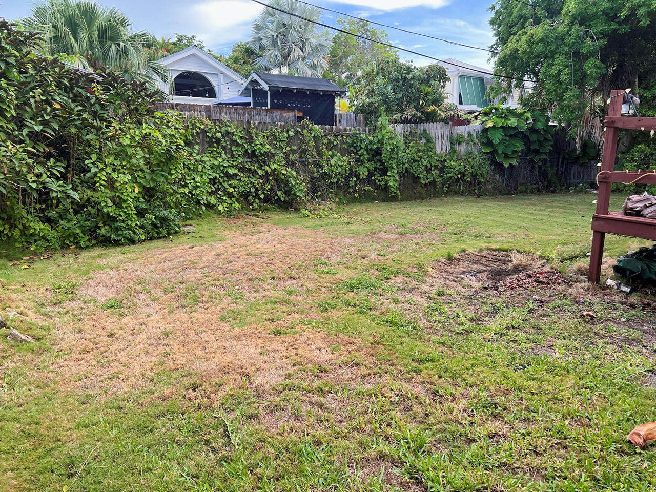 backyard a